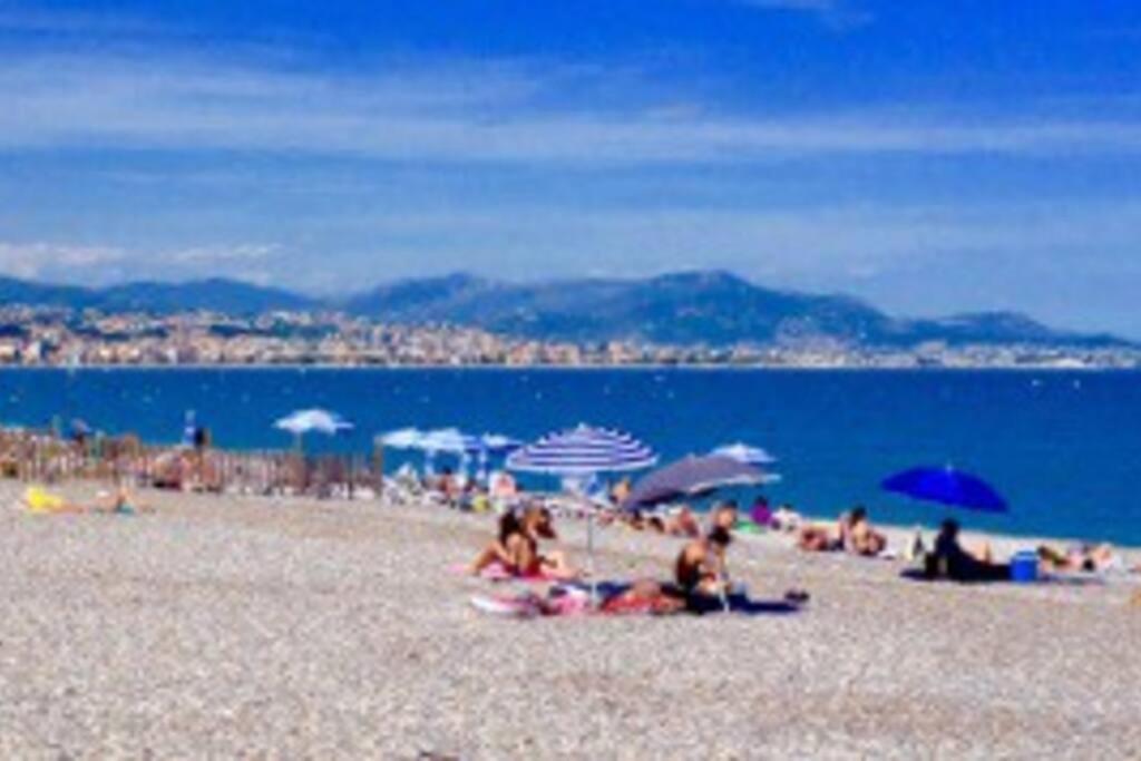 Studio confort ensoleillé - FAME Marina baie des Anges Villeneuve-Loubet Extérieur photo